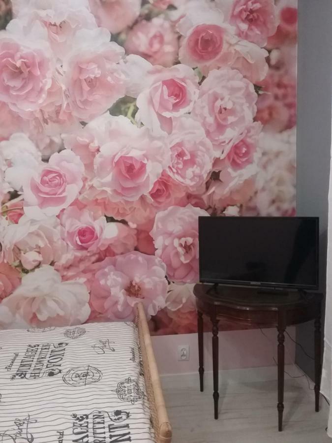 Vintage - Rose Apartament Stary Toruń Buitenkant foto