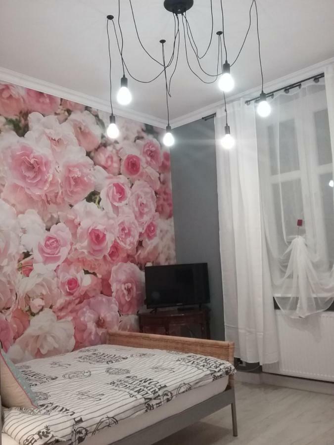 Vintage - Rose Apartament Stary Toruń Buitenkant foto