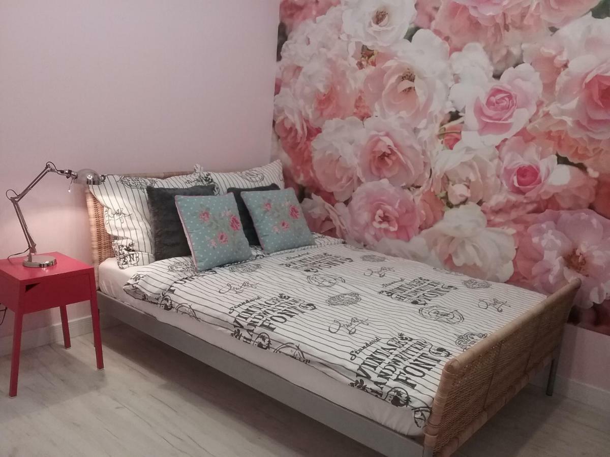 Vintage - Rose Apartament Stary Toruń Buitenkant foto