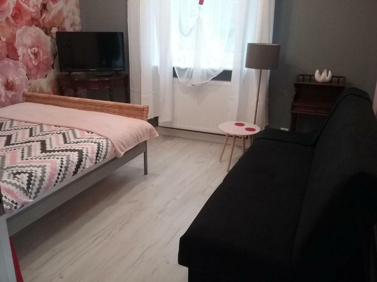 Vintage - Rose Apartament Stary Toruń Buitenkant foto